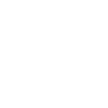 vector